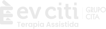 EV Citi